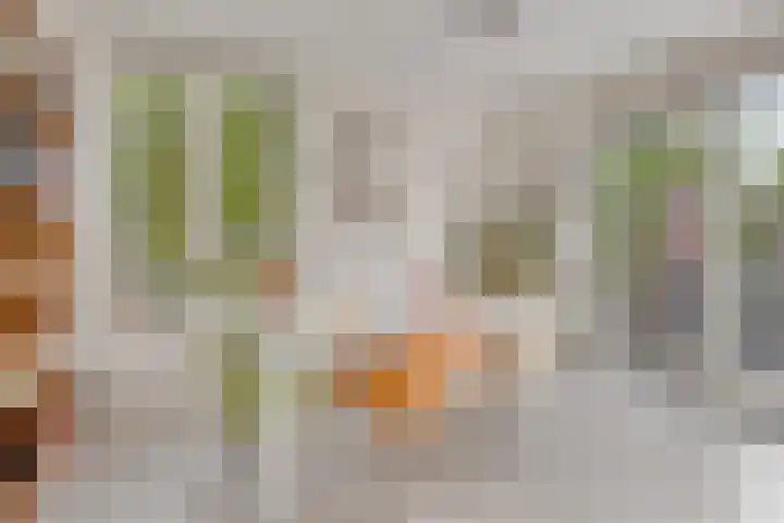 De kiem 2 Oss thumbnail 12