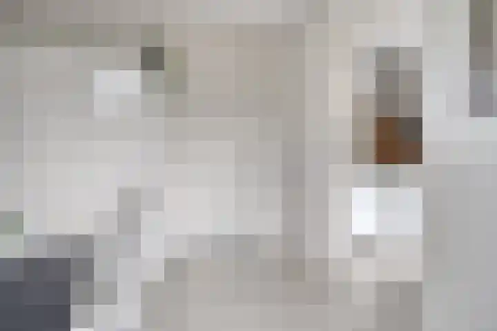 De kiem 2 Oss thumbnail 15