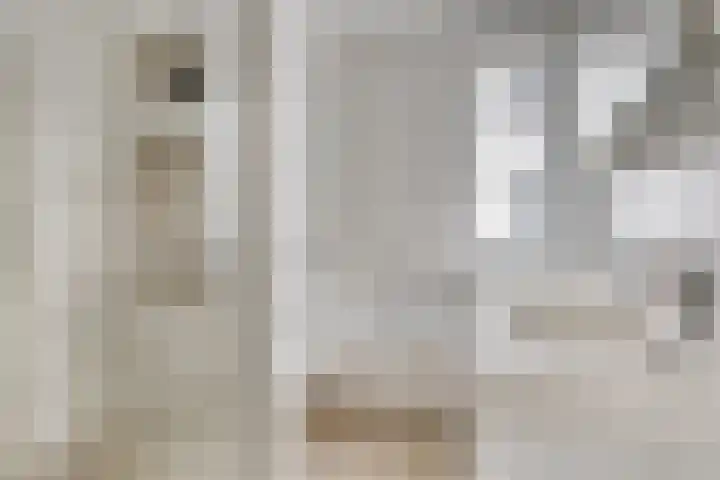 De kiem 2 Oss thumbnail 22