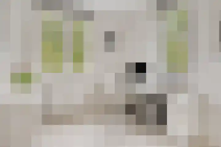 De kiem 2 Oss thumbnail 24