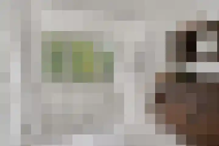 De kiem 2 Oss thumbnail 26