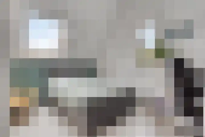 De kiem 2 Oss thumbnail 28