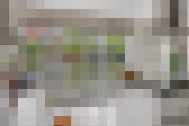 De kiem 2 Oss foto 3