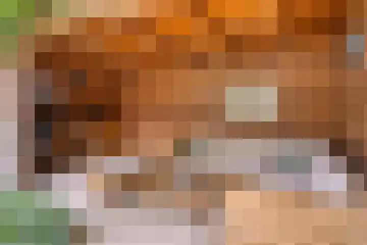 De kiem 2 Oss thumbnail 34