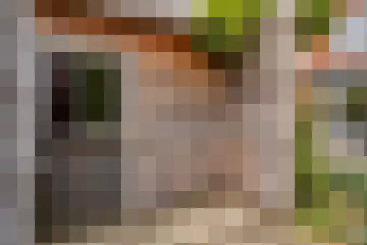 De kiem 2 Oss thumbnail 36