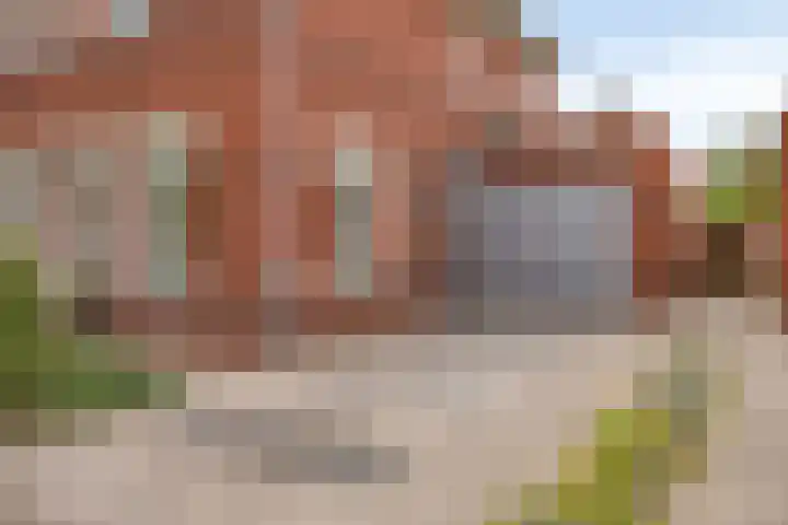 De kiem 2 Oss thumbnail 38
