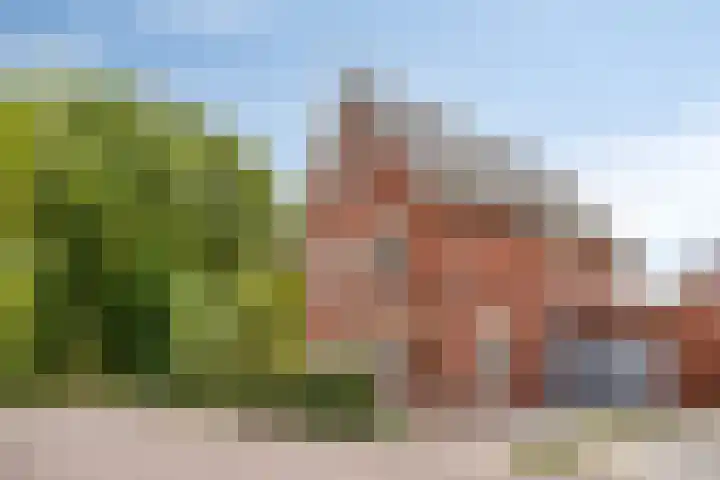 De kiem 2 Oss thumbnail 39
