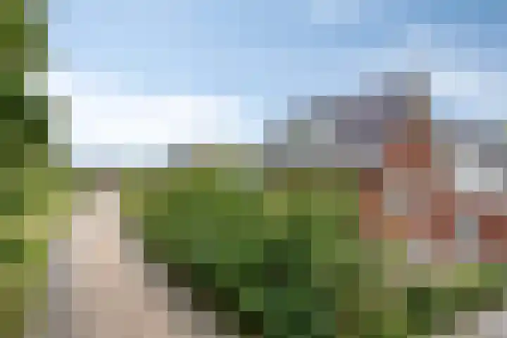 De kiem 2 Oss thumbnail 40