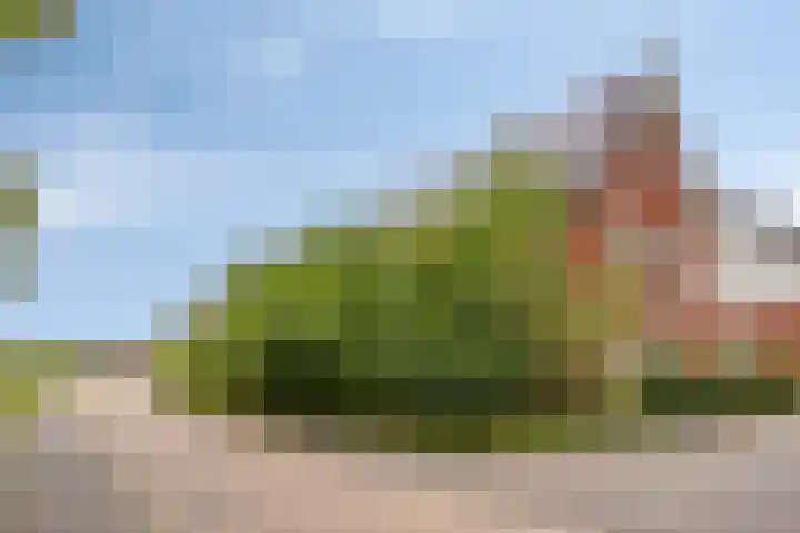 De kiem 2 Oss thumbnail 41