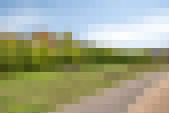 De kiem 2 Oss thumbnail 42