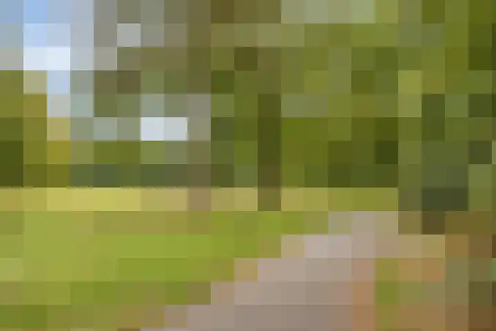 De kiem 2 Oss thumbnail 46