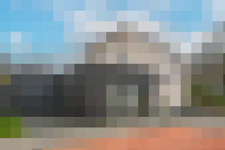 De kiem 2 Oss thumbnail 6