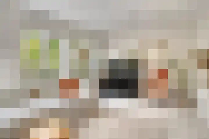 De kiem 2 Oss thumbnail 6