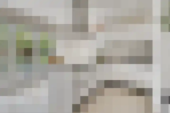 De kiem 2 Oss thumbnail 8