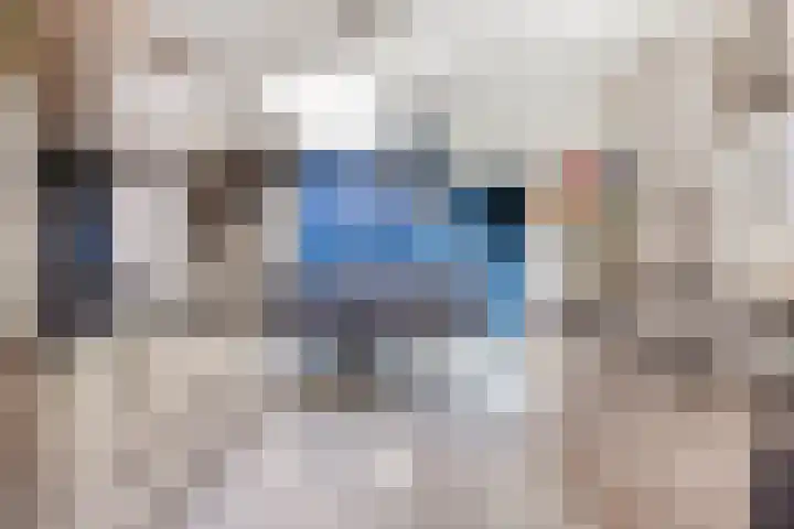 de Kievit 110 Denekamp thumbnail 10