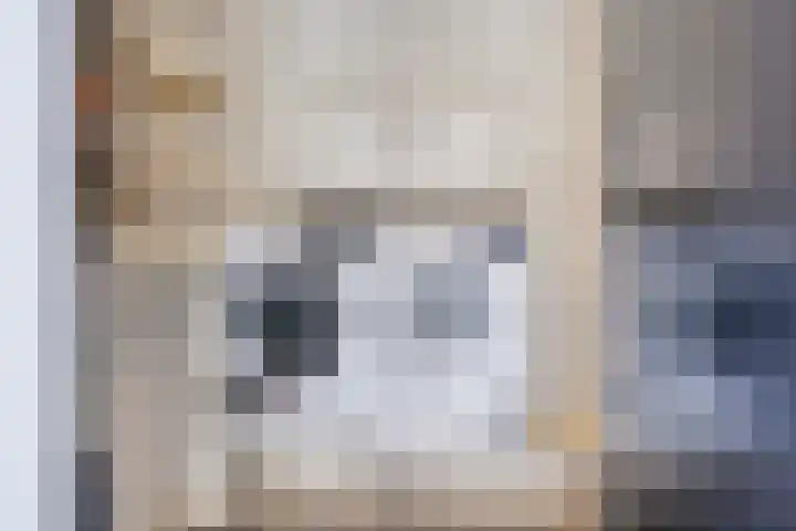 de Kievit 110 Denekamp thumbnail 12