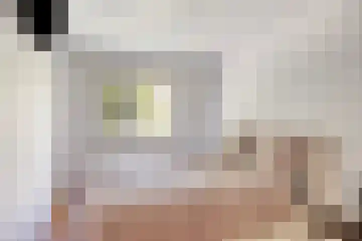 de Kievit 110 Denekamp thumbnail 16