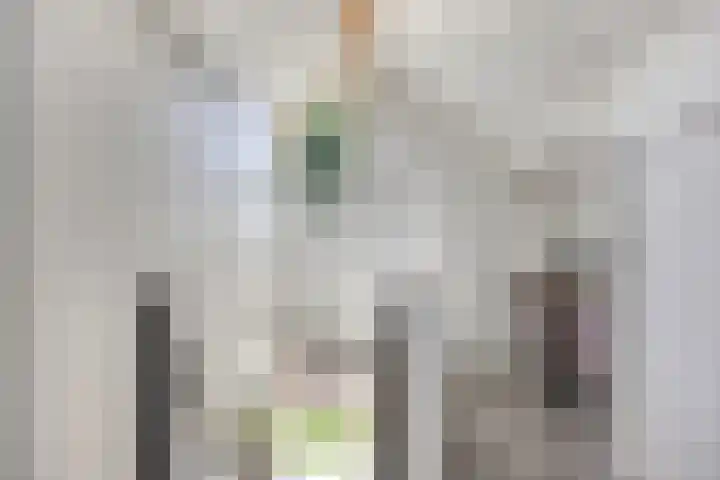 de Kievit 110 Denekamp thumbnail 23