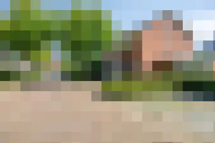 de Kievit 110 Denekamp thumbnail 32