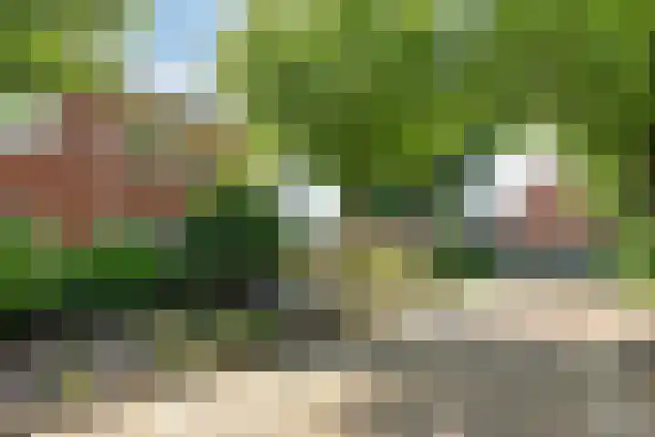 de Kievit 110 Denekamp thumbnail 34