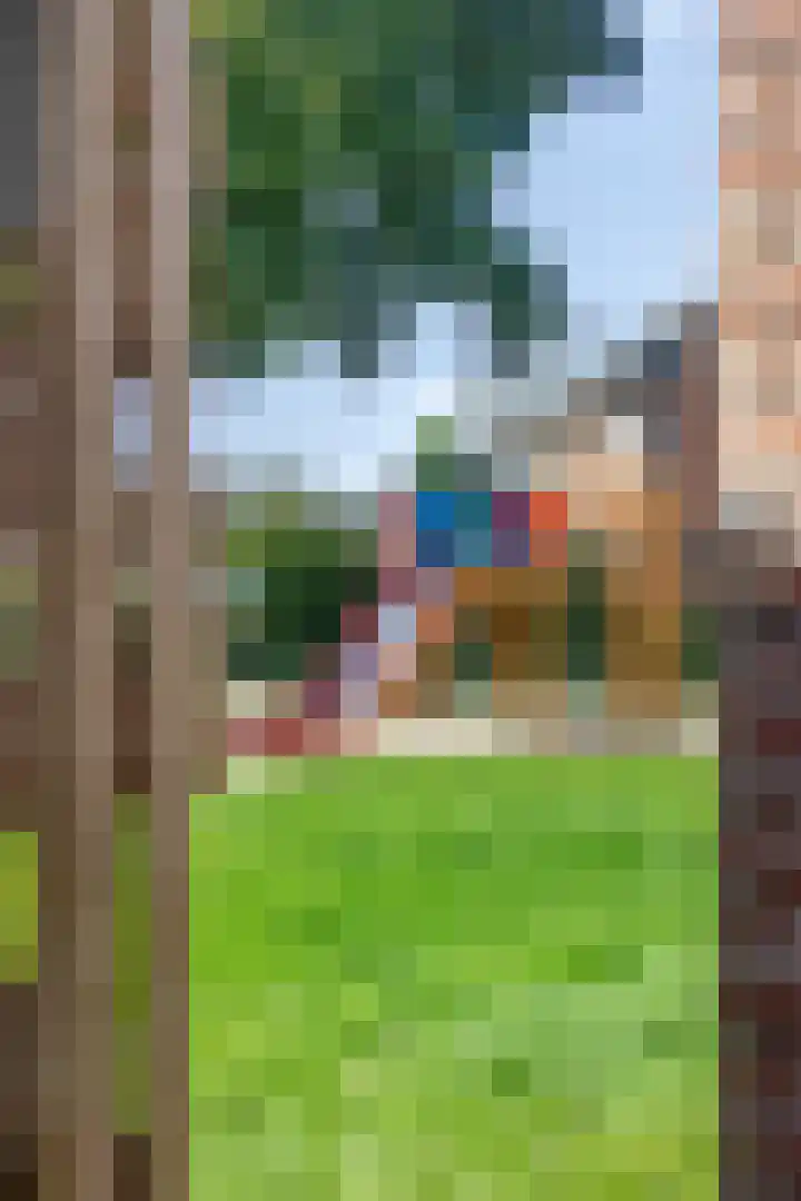 de Kievit 110 Denekamp thumbnail 35