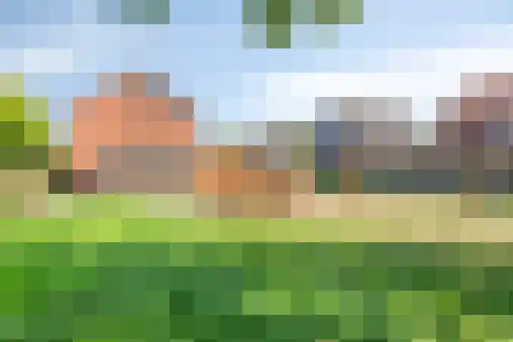de Kievit 110 Denekamp thumbnail 36