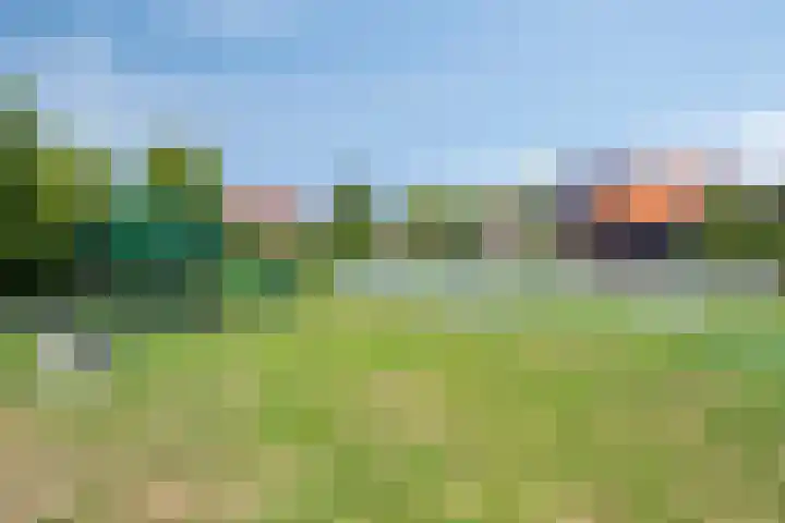 de Kievit 110 Denekamp thumbnail 38