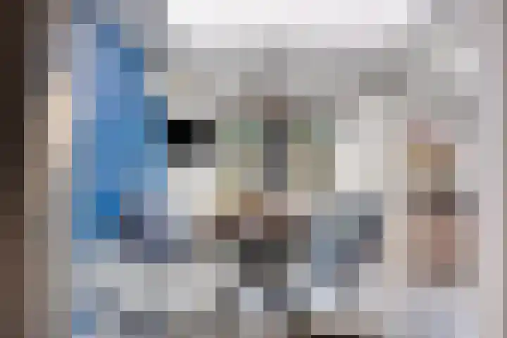 de Kievit 110 Denekamp thumbnail 7