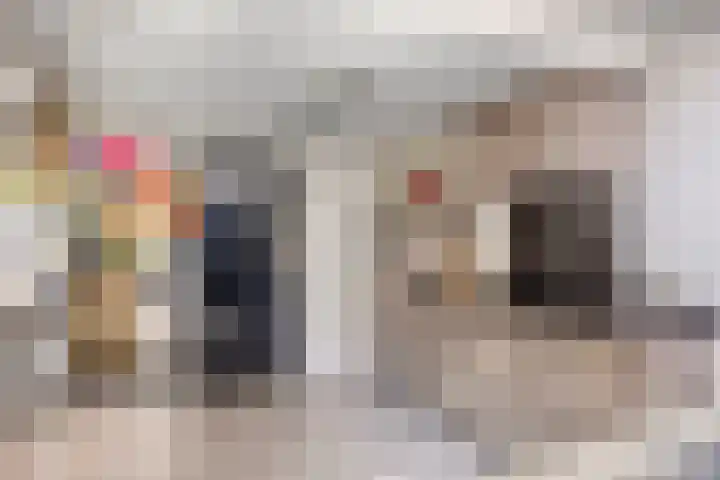 de Kievit 110 Denekamp thumbnail 8