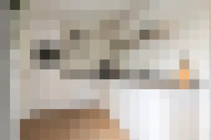 de Kievit 127 Denekamp thumbnail 11