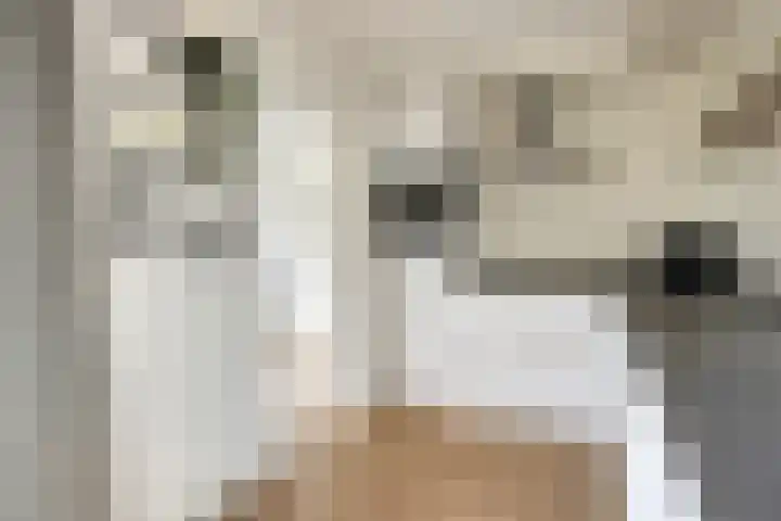 de Kievit 127 Denekamp thumbnail 12
