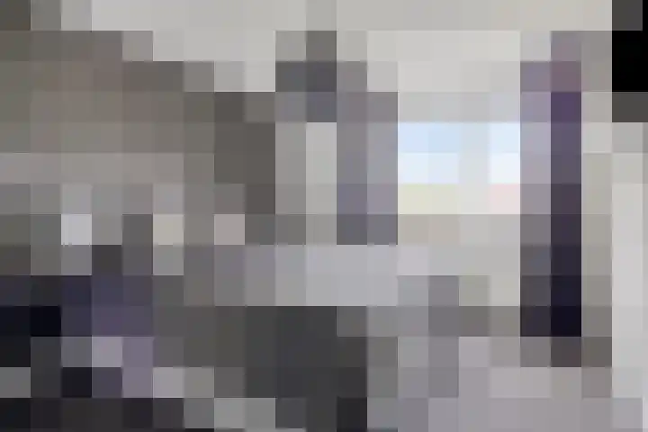 de Kievit 127 Denekamp thumbnail 17