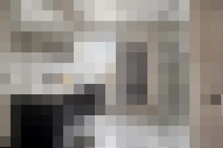 de Kievit 127 Denekamp thumbnail 19