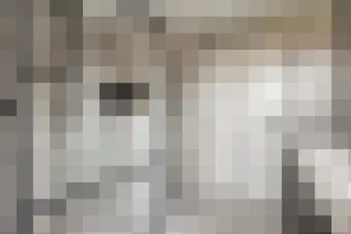 de Kievit 127 Denekamp thumbnail 20