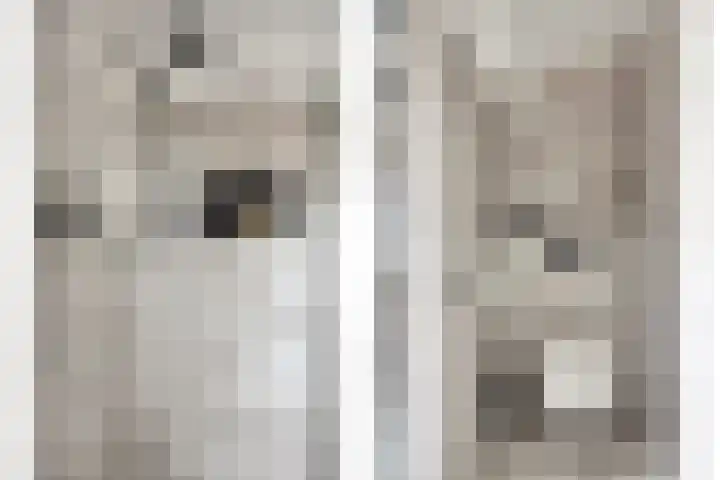 de Kievit 127 Denekamp thumbnail 21
