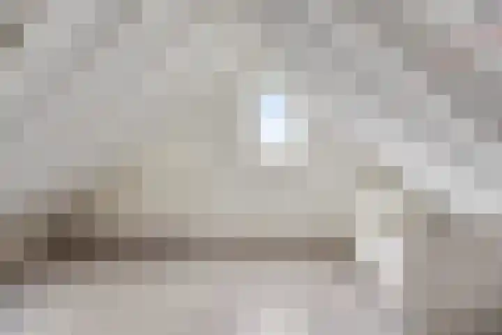 de Kievit 127 Denekamp thumbnail 26