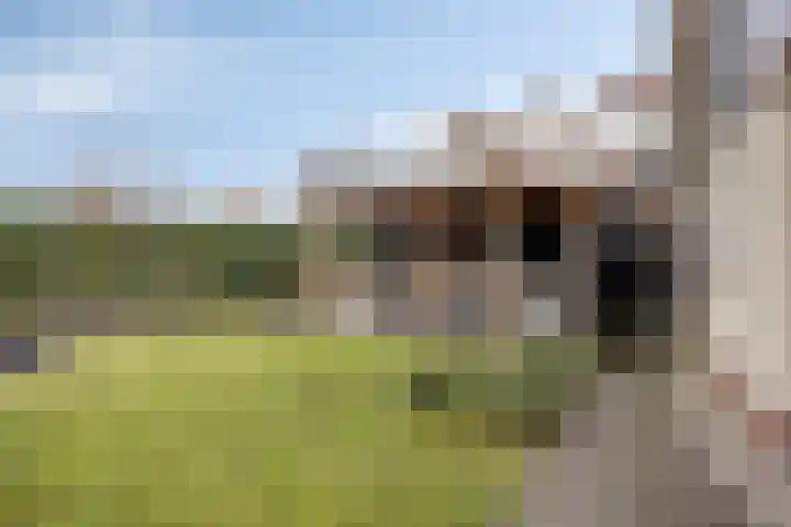 de Kievit 127 Denekamp thumbnail 32