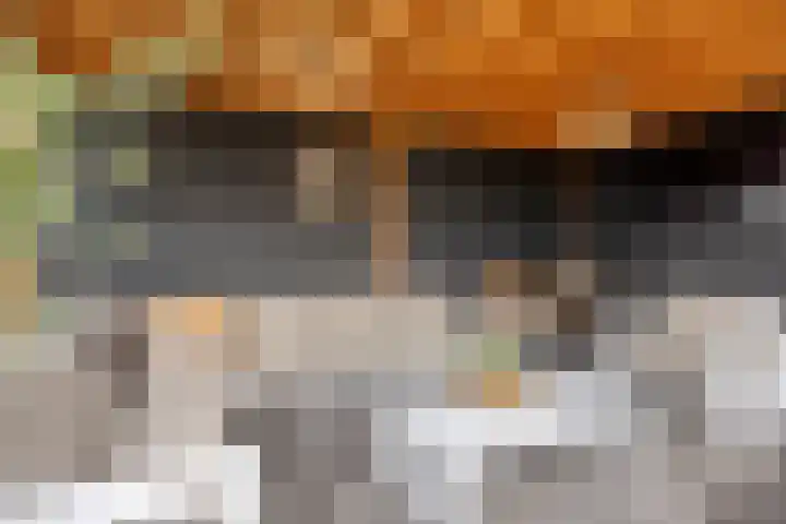 de Kievit 127 Denekamp thumbnail 33