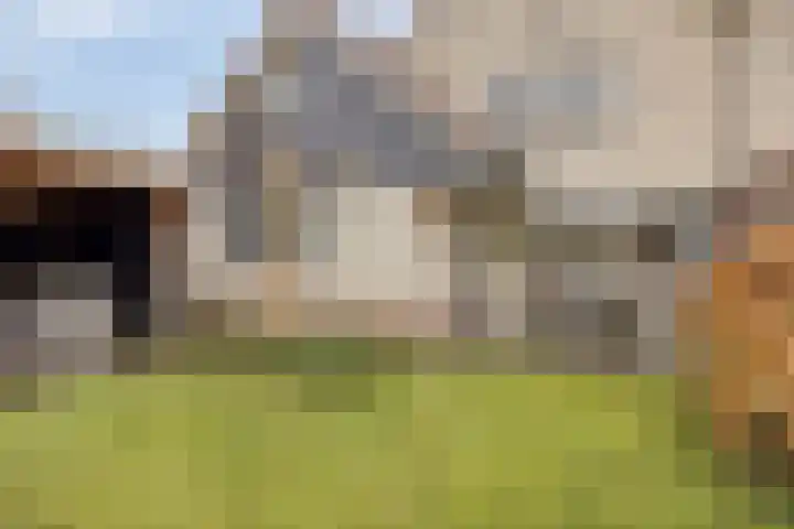 de Kievit 127 Denekamp thumbnail 34
