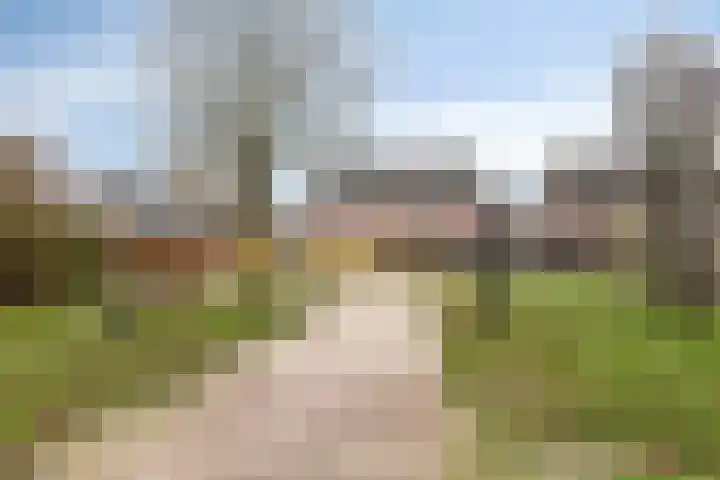 de Kievit 127 Denekamp thumbnail 41