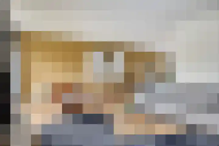 de Kievit 127 Denekamp thumbnail 5