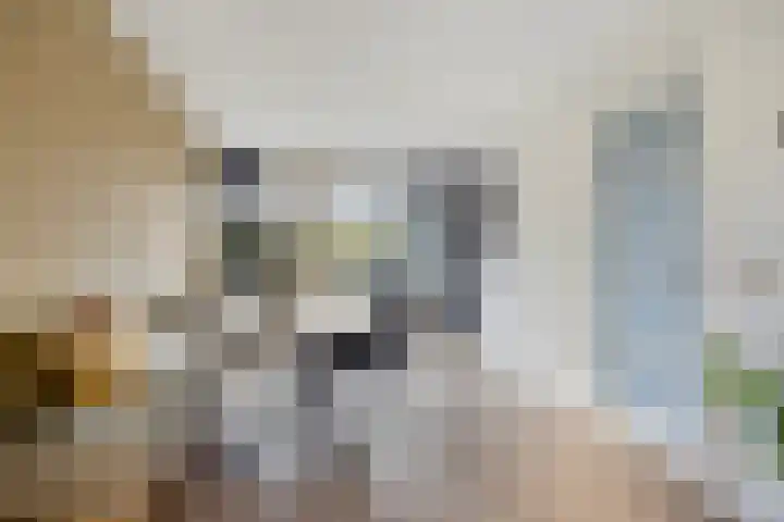de Kievit 127 Denekamp thumbnail 6