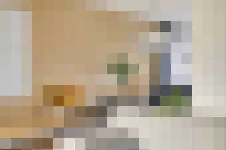 de Kievit 127 Denekamp thumbnail 7