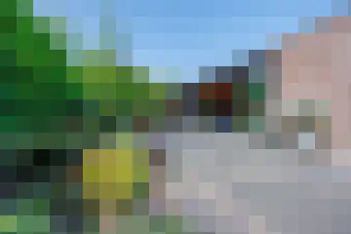 De Kievit 32 Elst Ut thumbnail 31