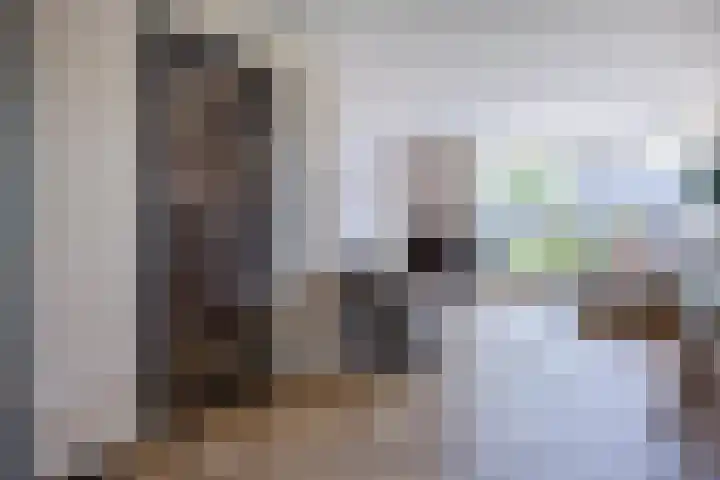De Kievit 32 Elst Ut thumbnail 4