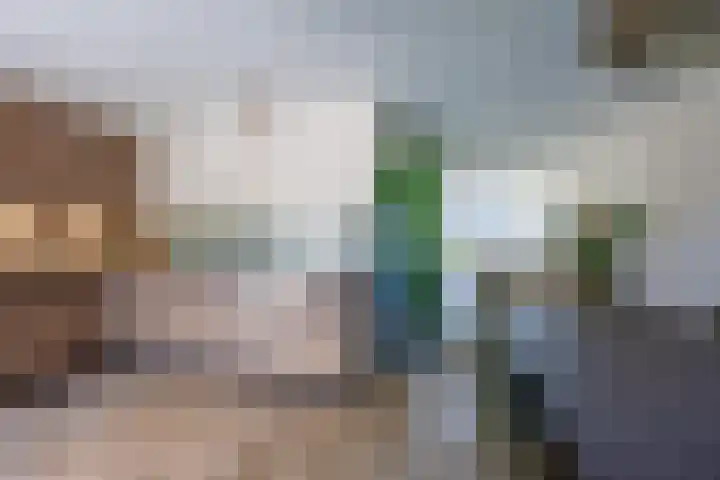 De Kievit 32 Elst Ut thumbnail 9