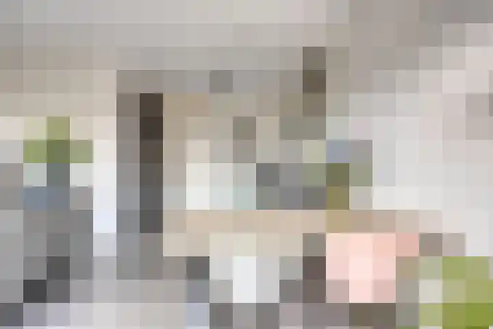 De Kievit 5 Wierden thumbnail 11