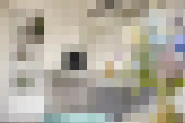 De Kievit 5 Wierden thumbnail 14