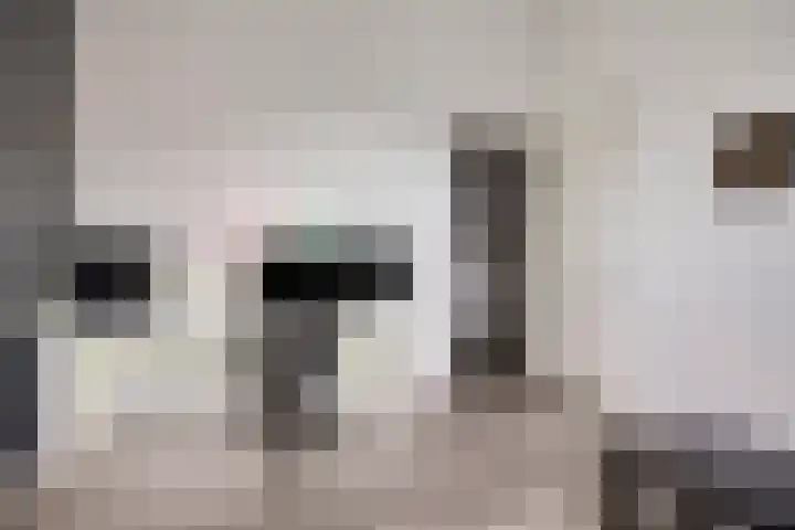 De Kievit 5 Wierden thumbnail 27