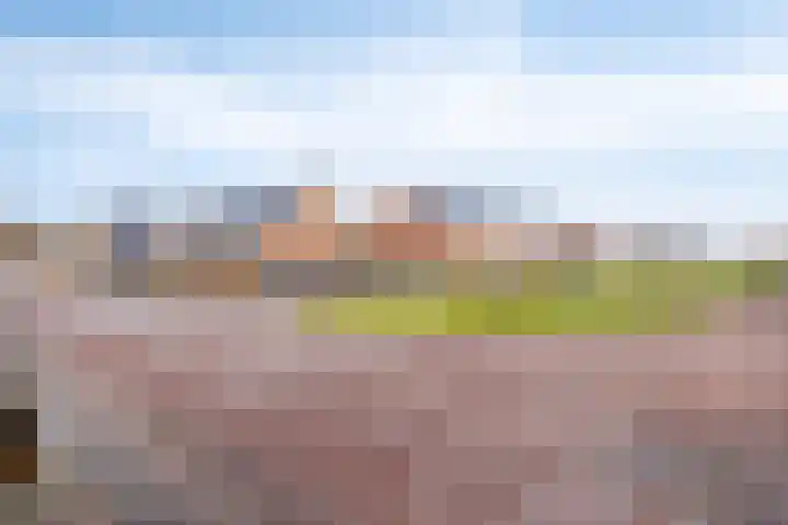 De Kievit 5 Wierden thumbnail 33